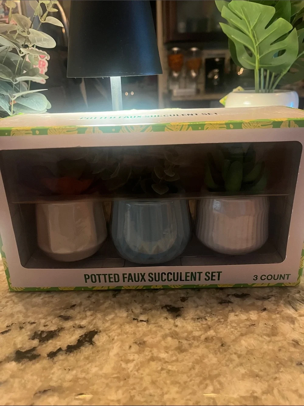 Potted Faux Succulent Set - Blue, White, Cream